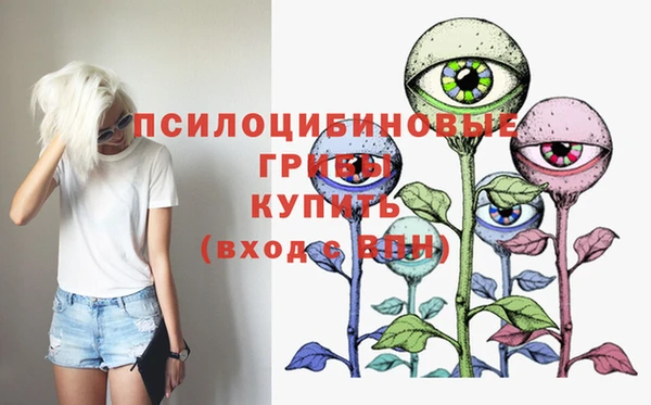 прущий лед Абаза