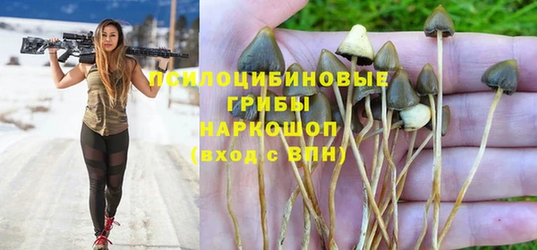 прущий лед Абаза